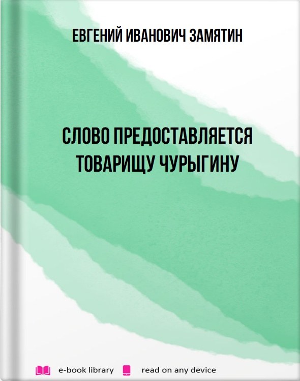 Слово предоставляется товарищу Чурыгину